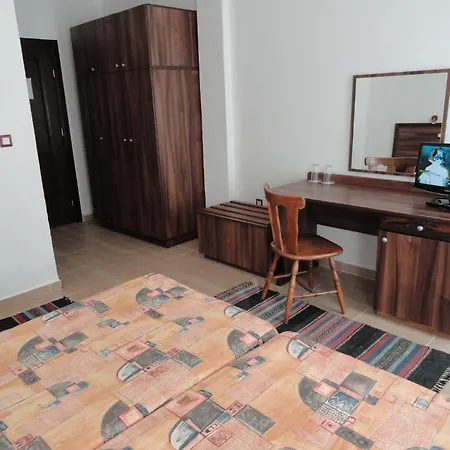 Hotel Teddy House 3*